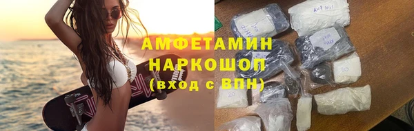 прущие грибы Баксан