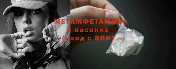 прущие грибы Баксан