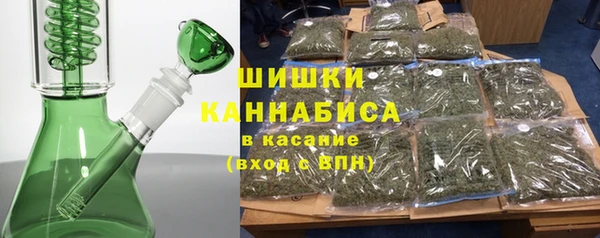 прущие грибы Баксан