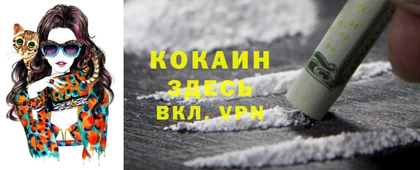прущие грибы Баксан